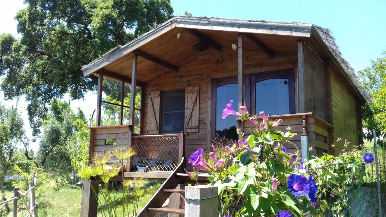 Casa Do Sobreiro 2 Bed & Breakfast Serra das Alhadas Exterior photo
