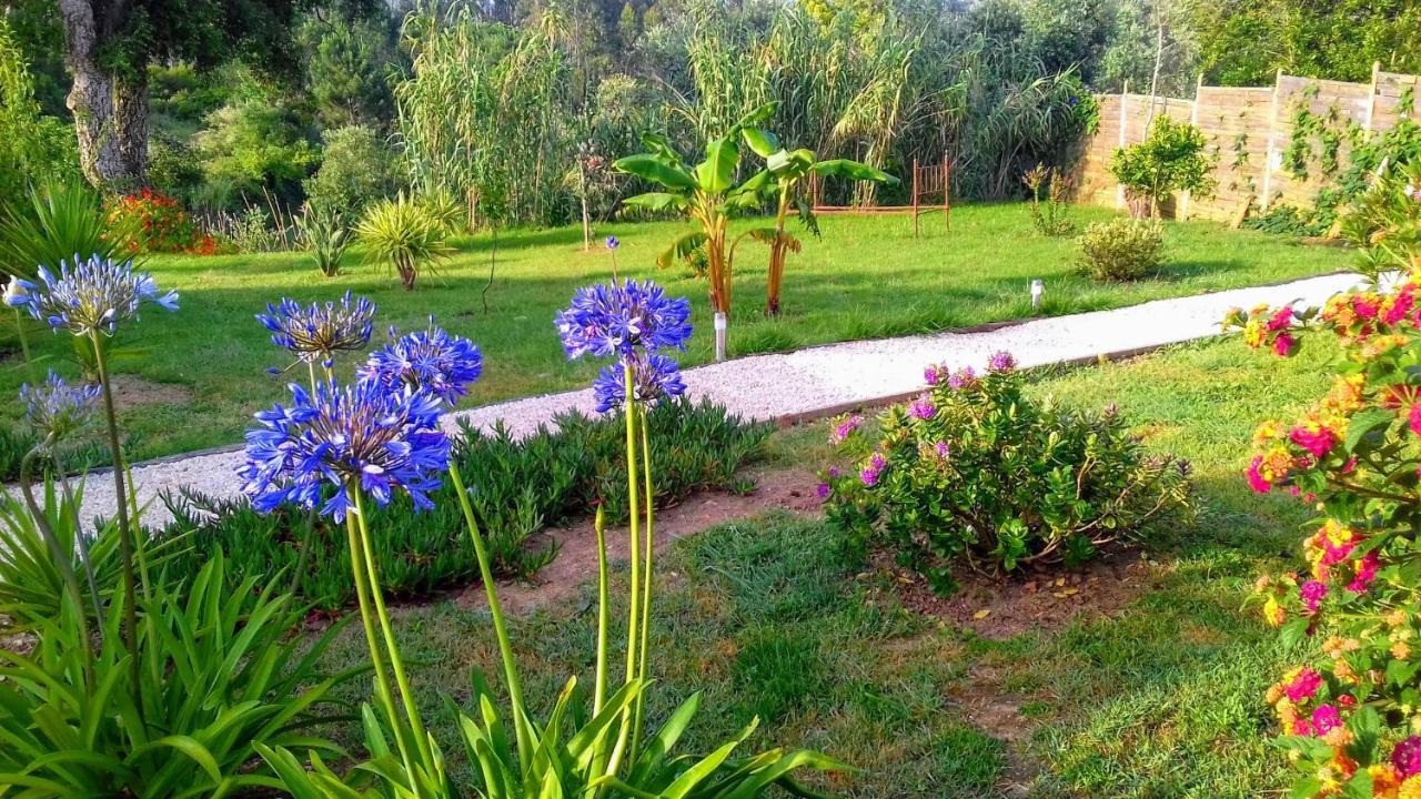 Casa Do Sobreiro 2 Bed & Breakfast Serra das Alhadas Exterior photo
