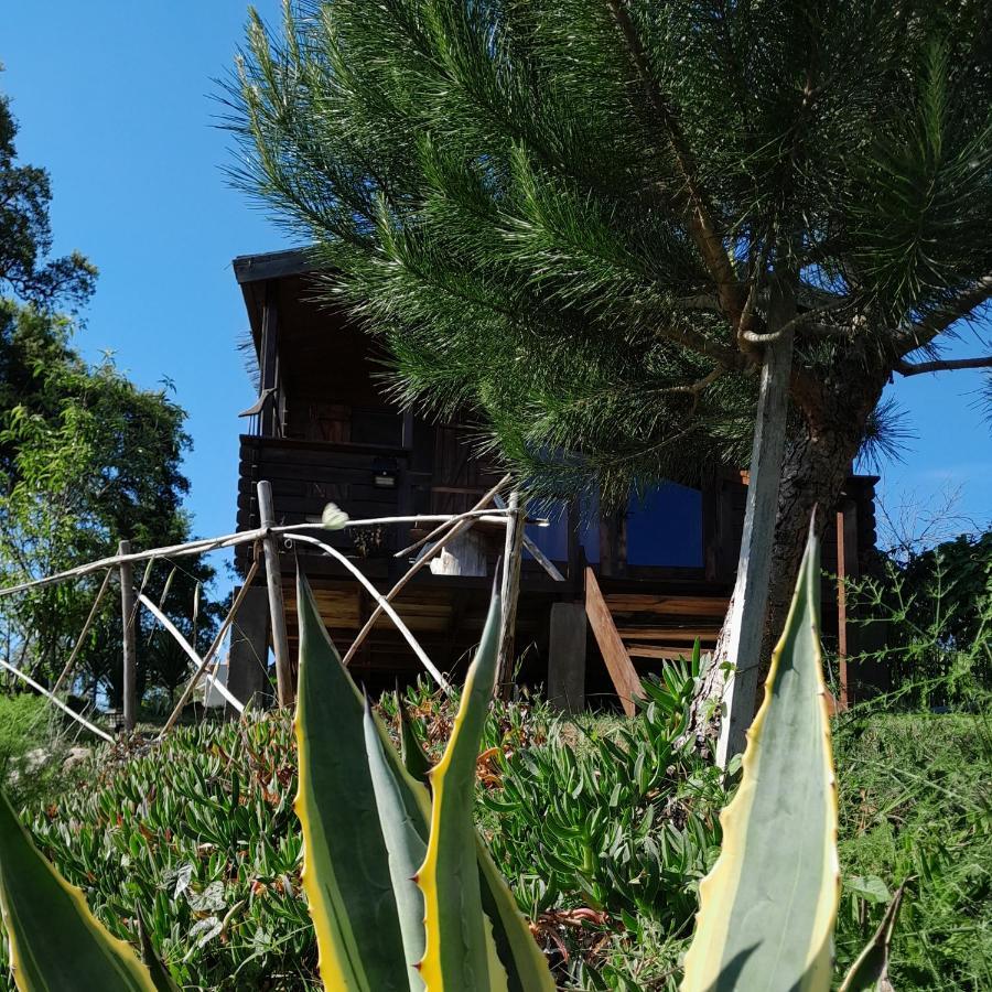 Casa Do Sobreiro 2 Bed & Breakfast Serra das Alhadas Exterior photo